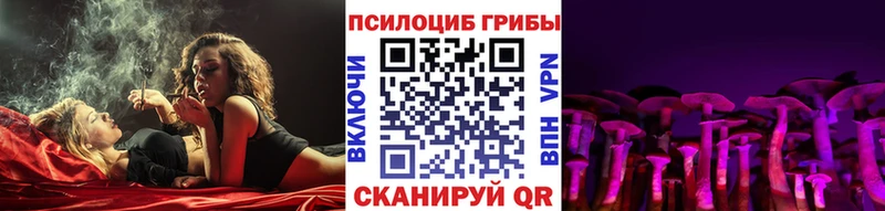 Галлюциногенные грибы Psilocybe  Шилка 